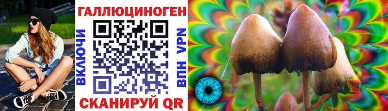Галлюциногенные грибы Cubensis  Новый Оскол 